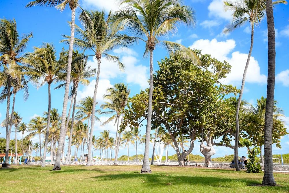 Ithaca Aparthotel Miami Beach Luaran gambar