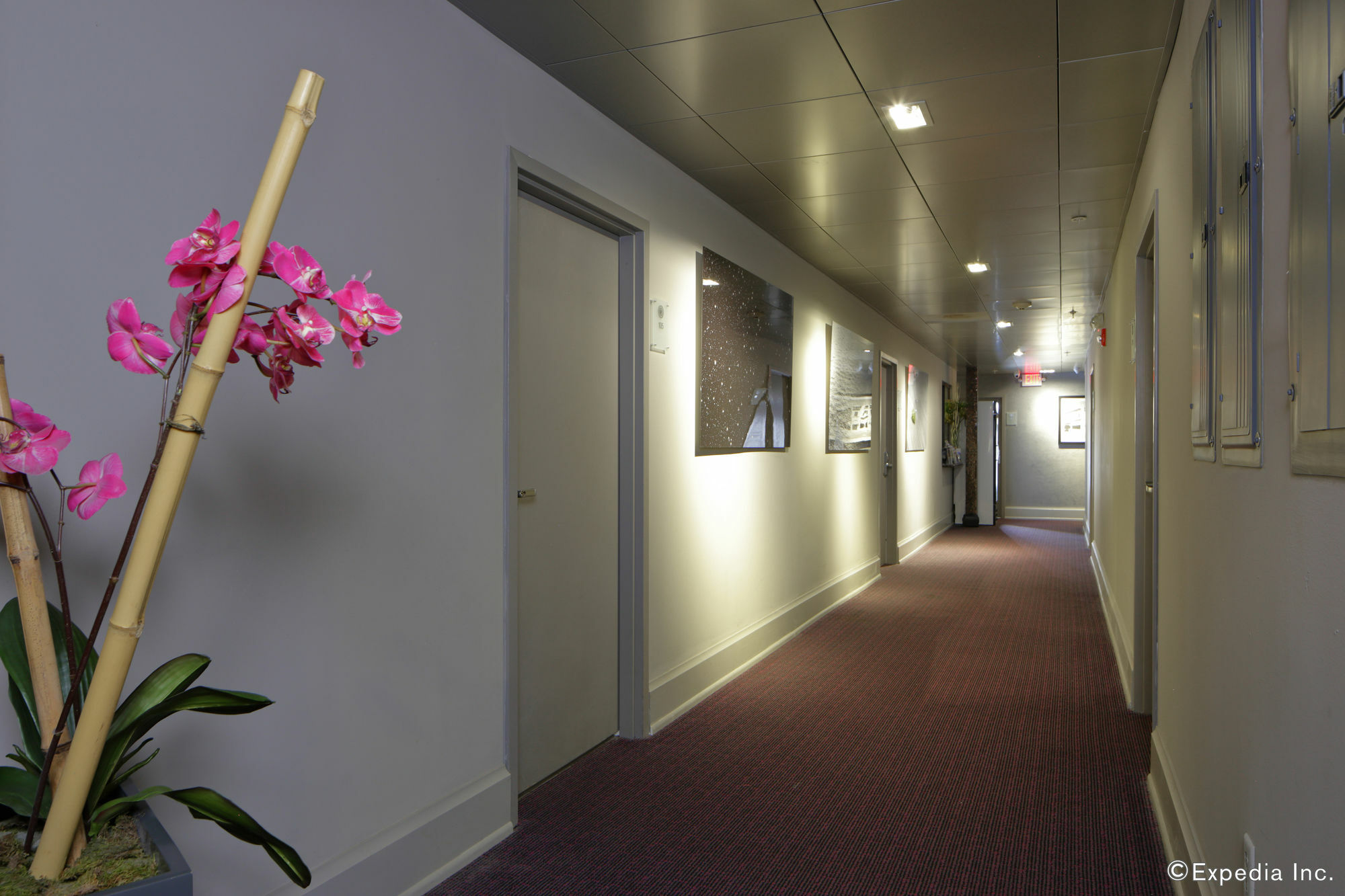 Ithaca Aparthotel Miami Beach Luaran gambar